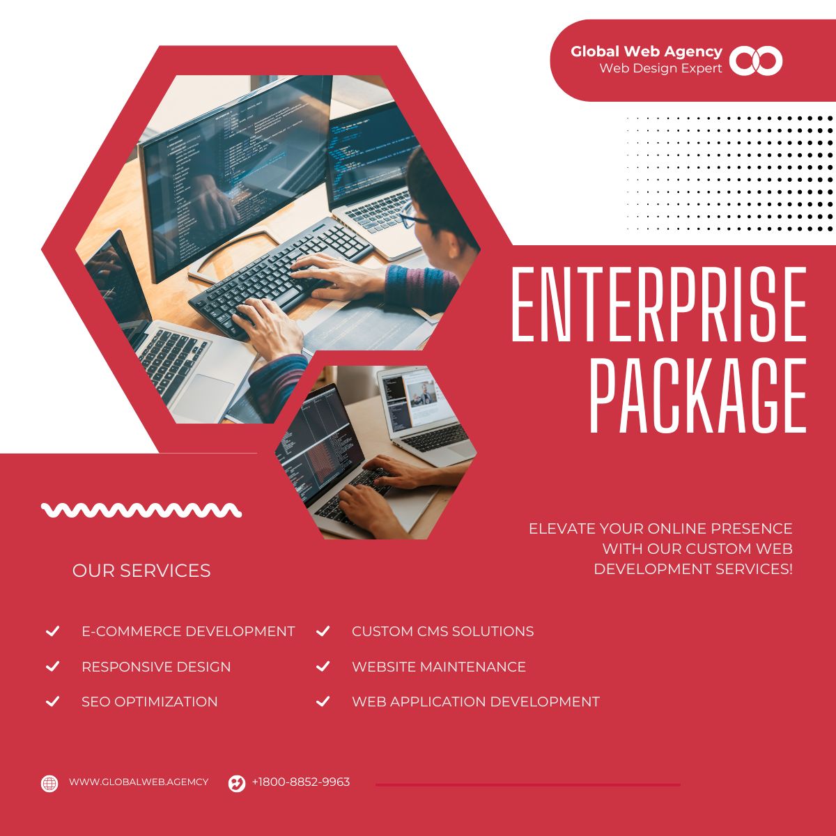 Enterprise Web Design & Development Package