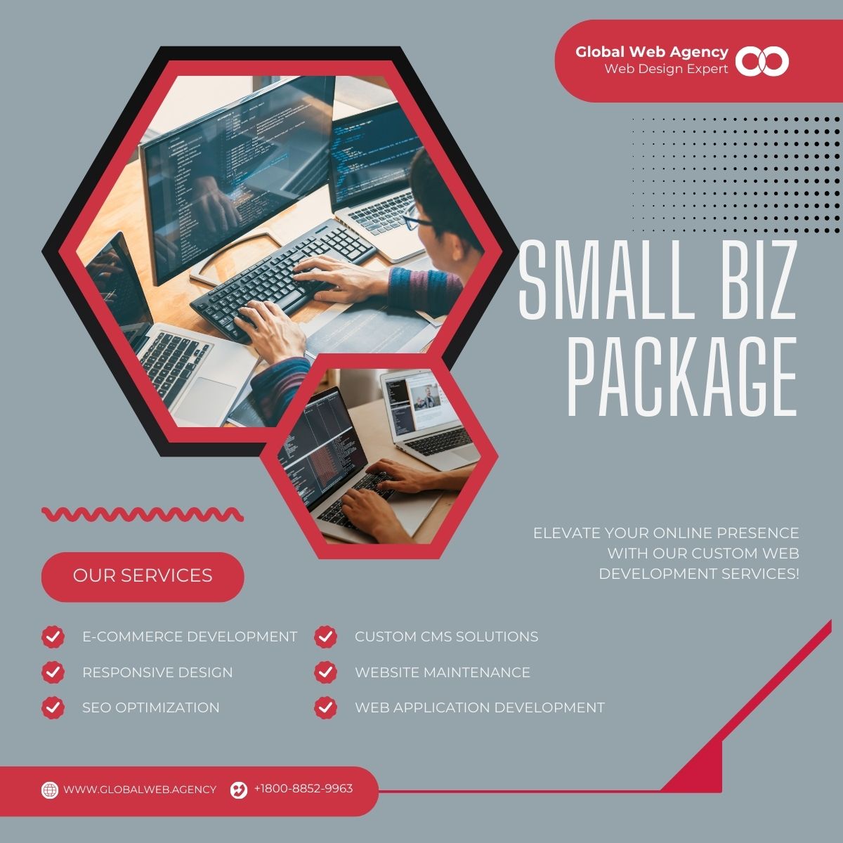 Small Biz Pro Website Package